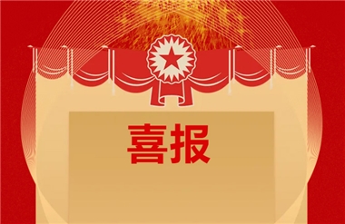 喜報(bào)|我司總承包項(xiàng)目榮獲“2024年度中國(guó)電力中小型優(yōu)質(zhì)工程”獎(jiǎng)