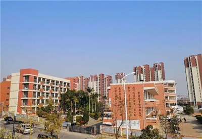 紫帽中心小學(xué)