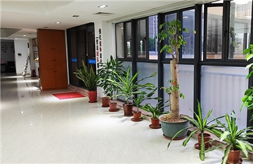 企業(yè)環(huán)境